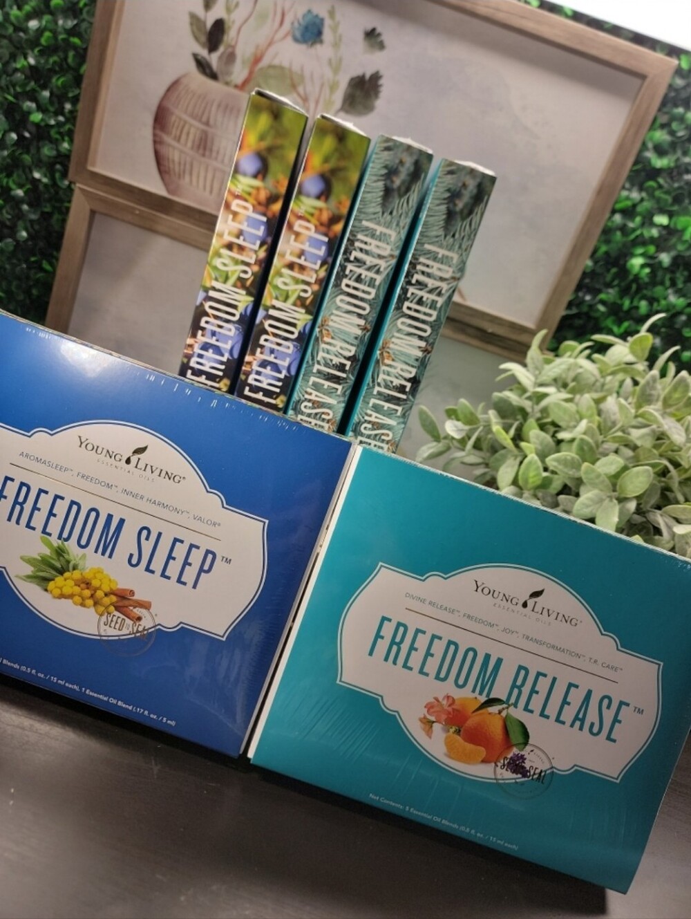 Young Living Freedom Sleep & Freedom Release Collection